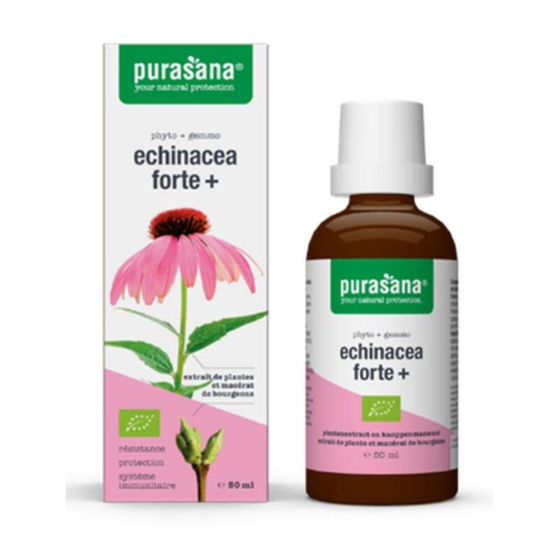 Purasana Echinacea Forte jeżówka purpurowa bio 50